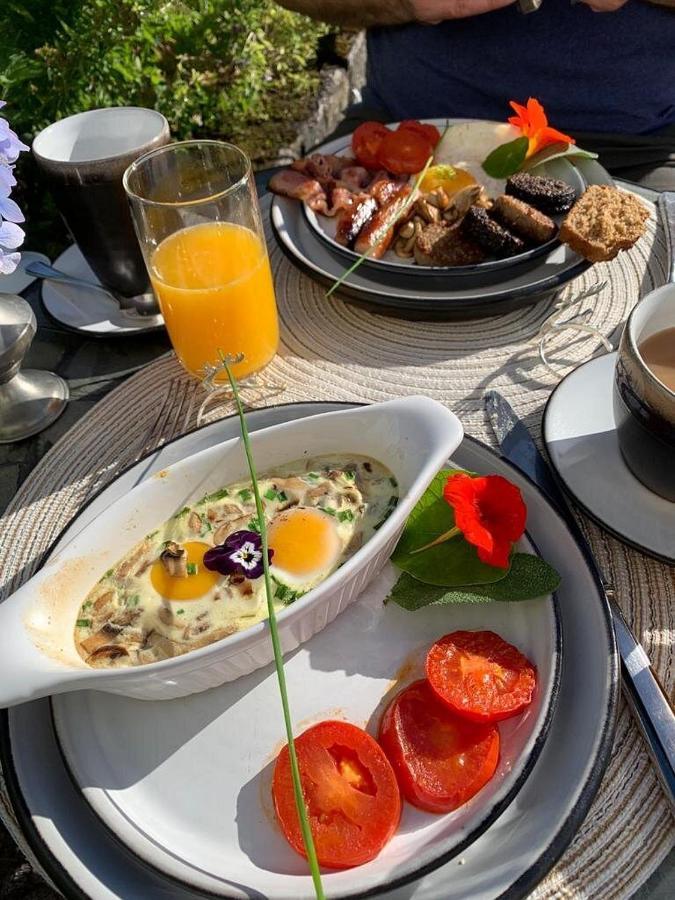 Shanagarry Kilmahon House, P25A973 B&B 외부 사진