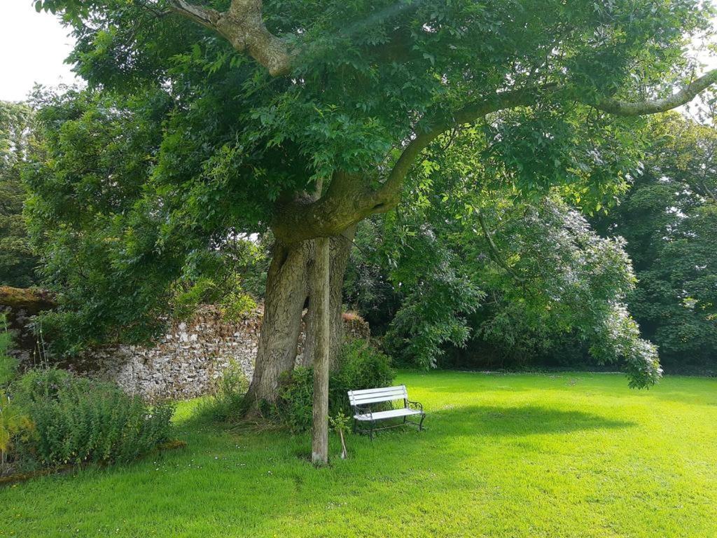 Shanagarry Kilmahon House, P25A973 B&B 외부 사진